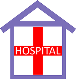 Hospital in the Home